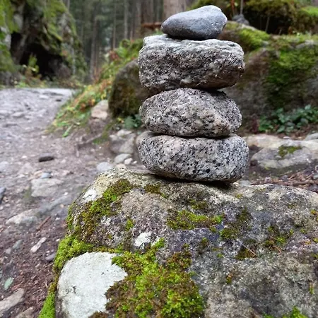 Lägenhet Frieda